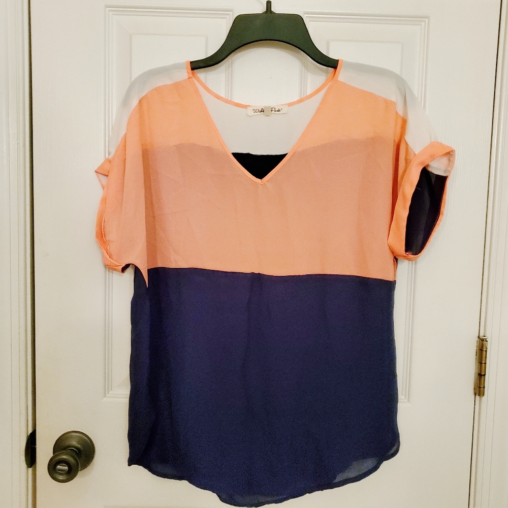 Wishful Park colorblock blouse
